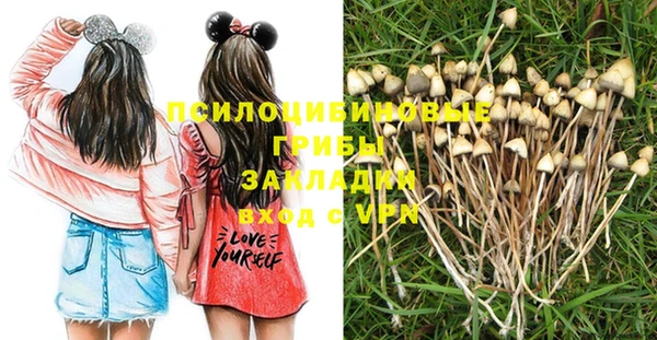 mdpv Балахна