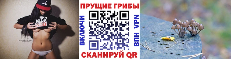 darknet наркотические препараты  Сегежа  Псилоцибиновые грибы ЛСД  ссылка на мегу ССЫЛКА 